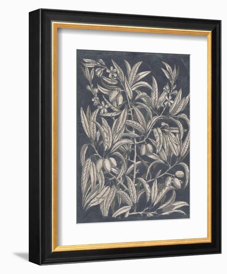 Vintage Fruit and Floral I-Megan Meagher-Framed Premium Giclee Print