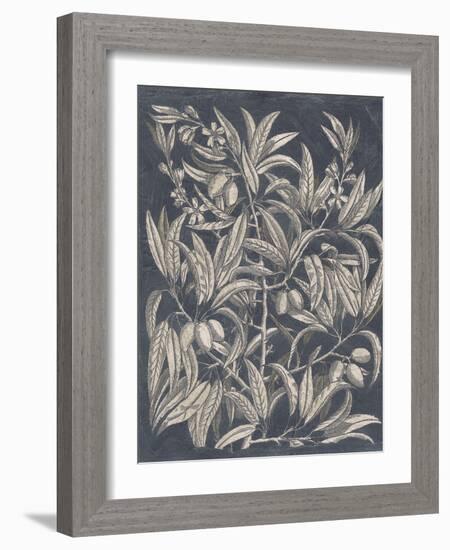 Vintage Fruit and Floral I-Megan Meagher-Framed Art Print