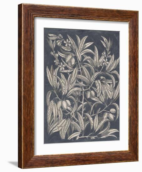 Vintage Fruit and Floral I-Megan Meagher-Framed Art Print