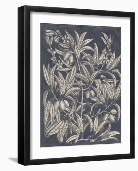 Vintage Fruit and Floral I-Megan Meagher-Framed Art Print