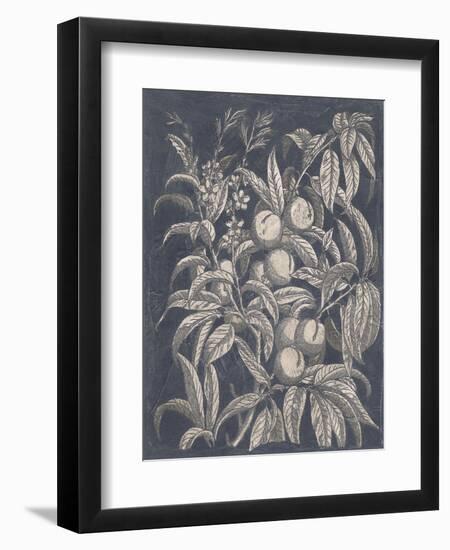 Vintage Fruit and Floral II-Megan Meagher-Framed Premium Giclee Print