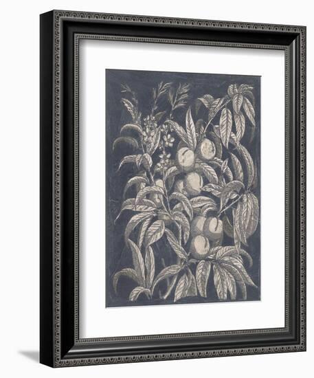 Vintage Fruit and Floral II-Megan Meagher-Framed Premium Giclee Print