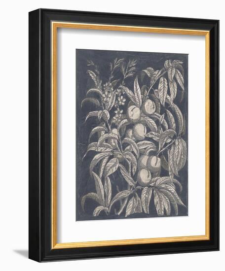 Vintage Fruit and Floral II-Megan Meagher-Framed Premium Giclee Print