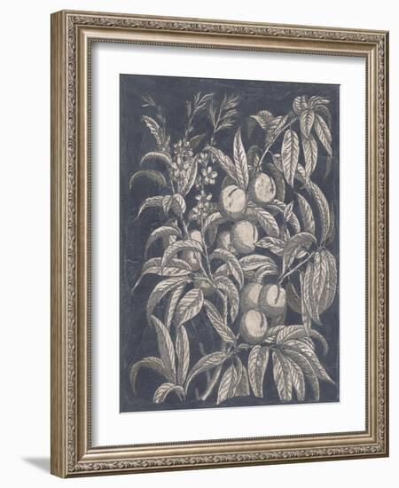 Vintage Fruit and Floral II-Megan Meagher-Framed Art Print