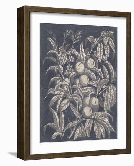 Vintage Fruit and Floral II-Megan Meagher-Framed Art Print