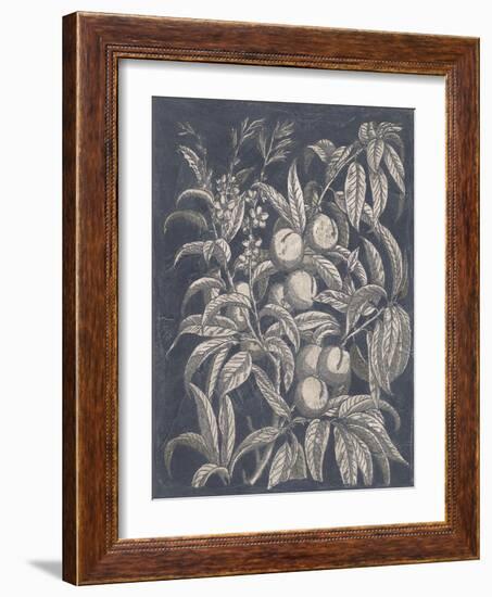 Vintage Fruit and Floral II-Megan Meagher-Framed Art Print