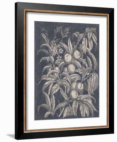 Vintage Fruit and Floral II-Megan Meagher-Framed Art Print