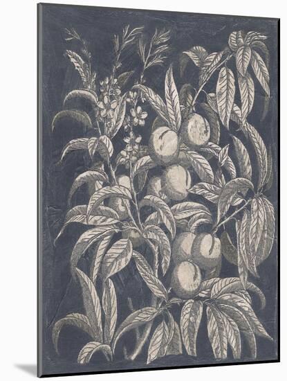 Vintage Fruit and Floral II-Megan Meagher-Mounted Art Print