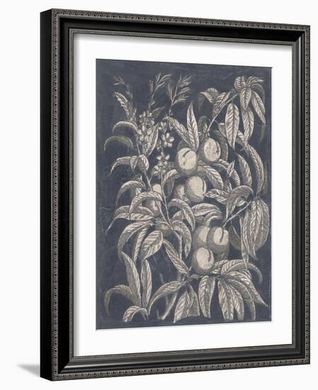 Vintage Fruit and Floral II-Megan Meagher-Framed Art Print