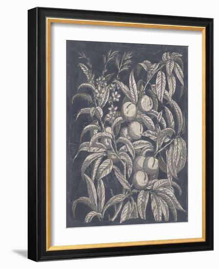 Vintage Fruit and Floral II-Megan Meagher-Framed Art Print