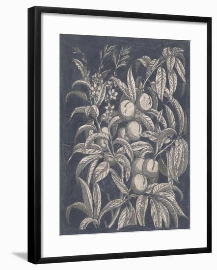 Vintage Fruit and Floral II-Megan Meagher-Framed Art Print