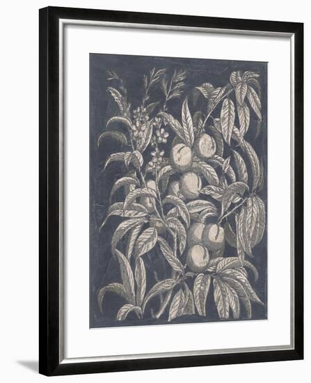 Vintage Fruit and Floral II-Megan Meagher-Framed Art Print