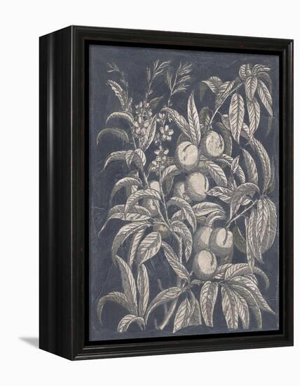 Vintage Fruit and Floral II-Megan Meagher-Framed Stretched Canvas