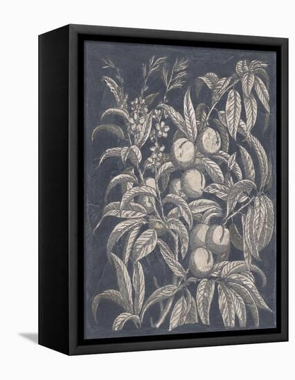Vintage Fruit and Floral II-Megan Meagher-Framed Stretched Canvas