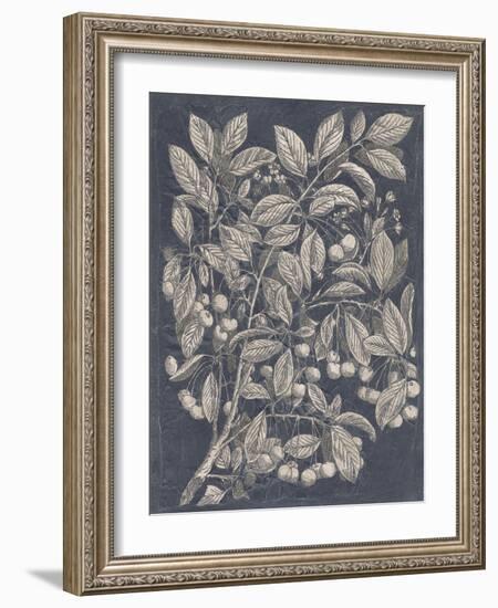 Vintage Fruit and Floral III-Megan Meagher-Framed Art Print