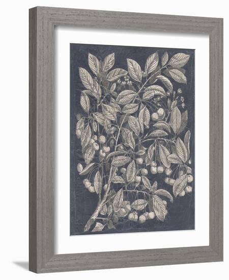 Vintage Fruit and Floral III-Megan Meagher-Framed Art Print