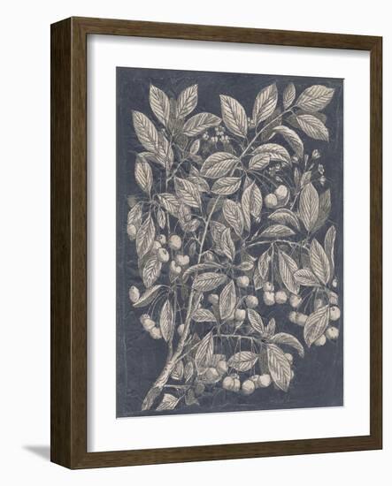 Vintage Fruit and Floral III-Megan Meagher-Framed Art Print