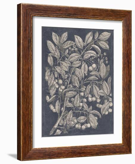 Vintage Fruit and Floral III-Megan Meagher-Framed Art Print