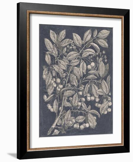 Vintage Fruit and Floral III-Megan Meagher-Framed Art Print