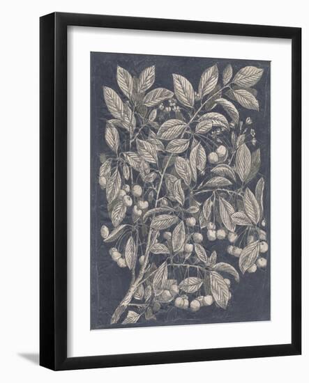 Vintage Fruit and Floral III-Megan Meagher-Framed Art Print