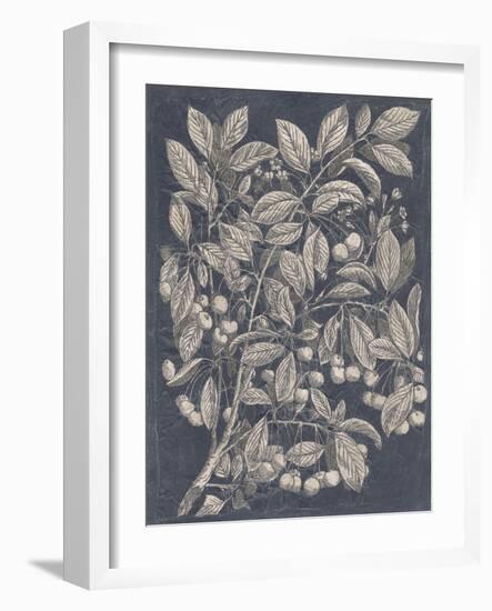 Vintage Fruit and Floral III-Megan Meagher-Framed Art Print