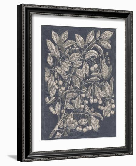 Vintage Fruit and Floral III-Megan Meagher-Framed Art Print