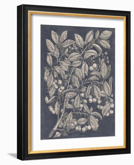 Vintage Fruit and Floral III-Megan Meagher-Framed Art Print