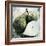 Vintage Fruit II-James Guilliam-Framed Giclee Print