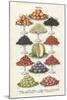 Vintage Fruit-The Vintage Collection-Mounted Giclee Print