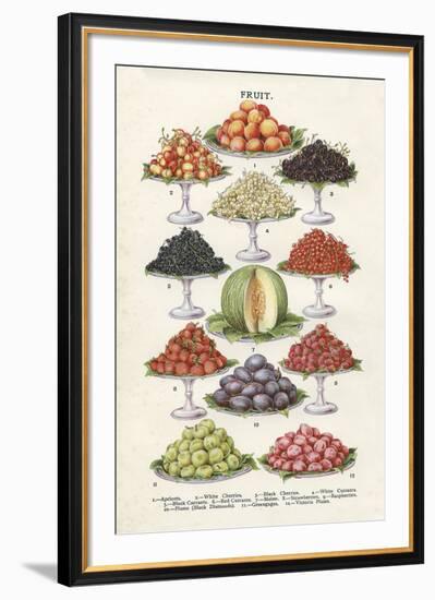 Vintage Fruit-The Vintage Collection-Framed Giclee Print