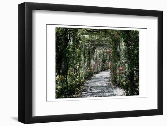 Vintage Garden-Sheldon Lewis-Framed Photographic Print