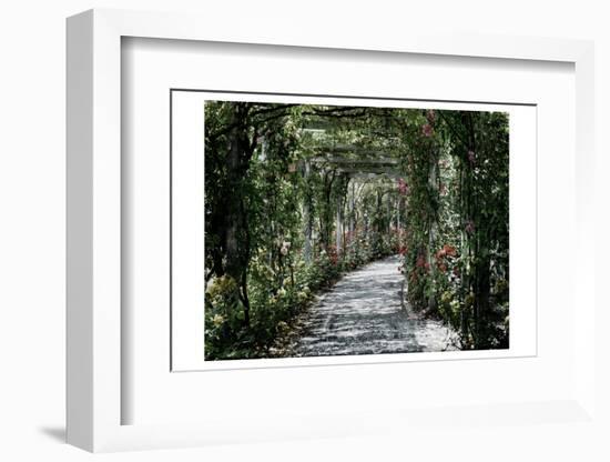 Vintage Garden-Sheldon Lewis-Framed Photographic Print