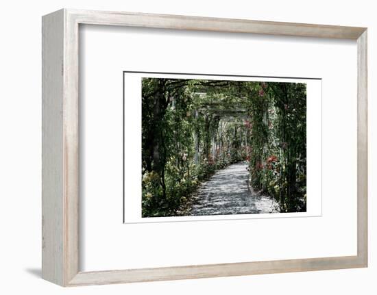 Vintage Garden-Sheldon Lewis-Framed Photographic Print