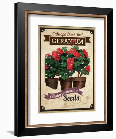 Vintage Geranium Seed Packet-null-Framed Giclee Print