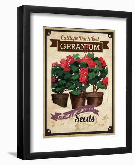 Vintage Geranium Seed Packet-null-Framed Giclee Print