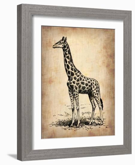 Vintage Giraffe-NaxArt-Framed Art Print