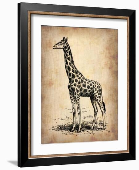 Vintage Giraffe-NaxArt-Framed Art Print