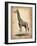 Vintage Giraffe-NaxArt-Framed Art Print