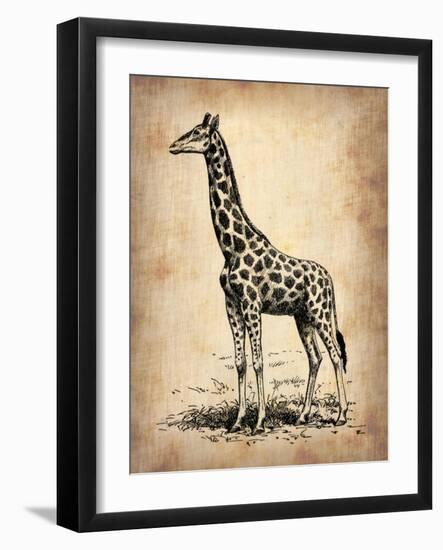 Vintage Giraffe-NaxArt-Framed Art Print