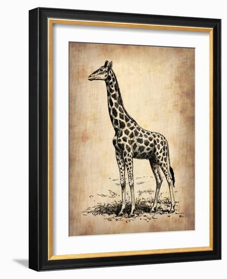 Vintage Giraffe-NaxArt-Framed Art Print