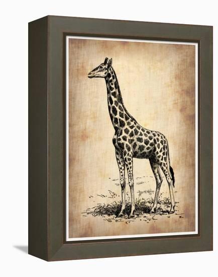 Vintage Giraffe-NaxArt-Framed Stretched Canvas