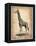 Vintage Giraffe-NaxArt-Framed Stretched Canvas