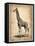 Vintage Giraffe-NaxArt-Framed Stretched Canvas