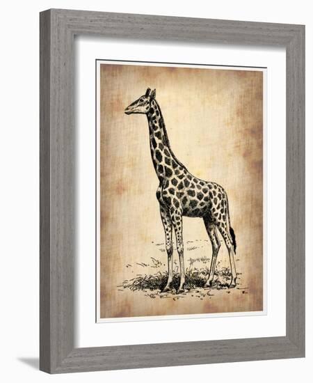 Vintage Giraffe-NaxArt-Framed Art Print