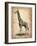 Vintage Giraffe-NaxArt-Framed Art Print