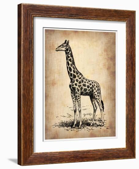 Vintage Giraffe-NaxArt-Framed Art Print