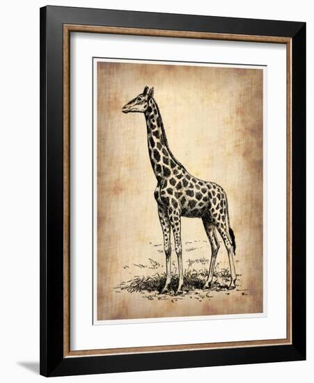 Vintage Giraffe-NaxArt-Framed Art Print