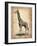 Vintage Giraffe-NaxArt-Framed Art Print