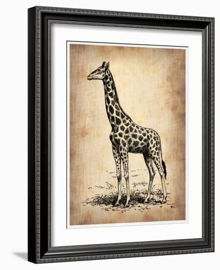 Vintage Giraffe-NaxArt-Framed Art Print