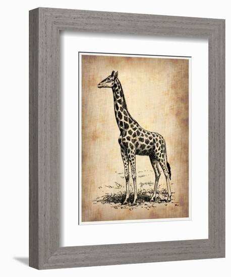 Vintage Giraffe-NaxArt-Framed Art Print